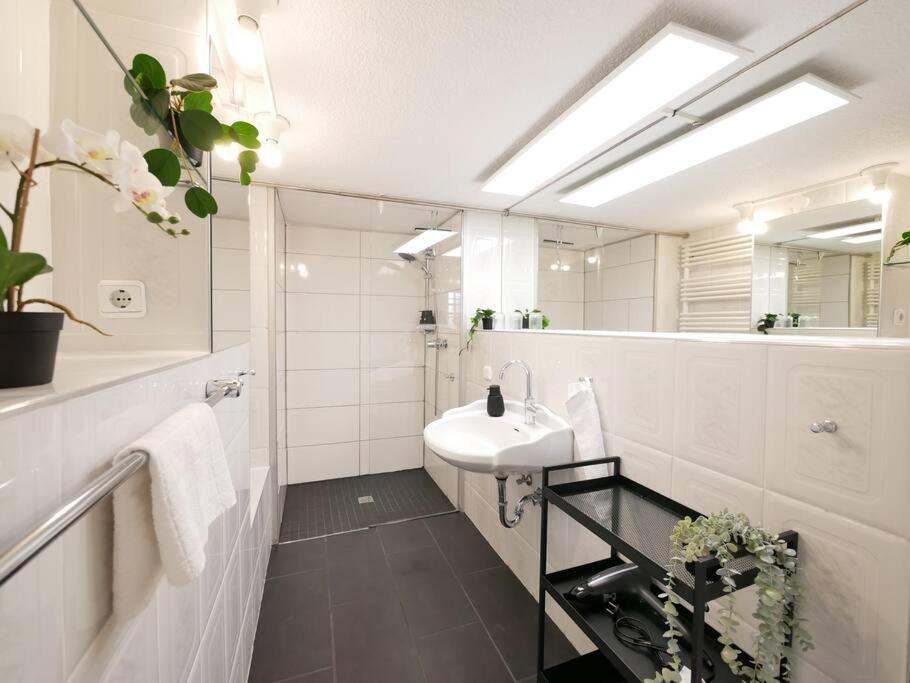 Апартаменты 110 M2, Dachterrasse, Kueche, Zentral, Ruhige Lage Падерборн Экстерьер фото